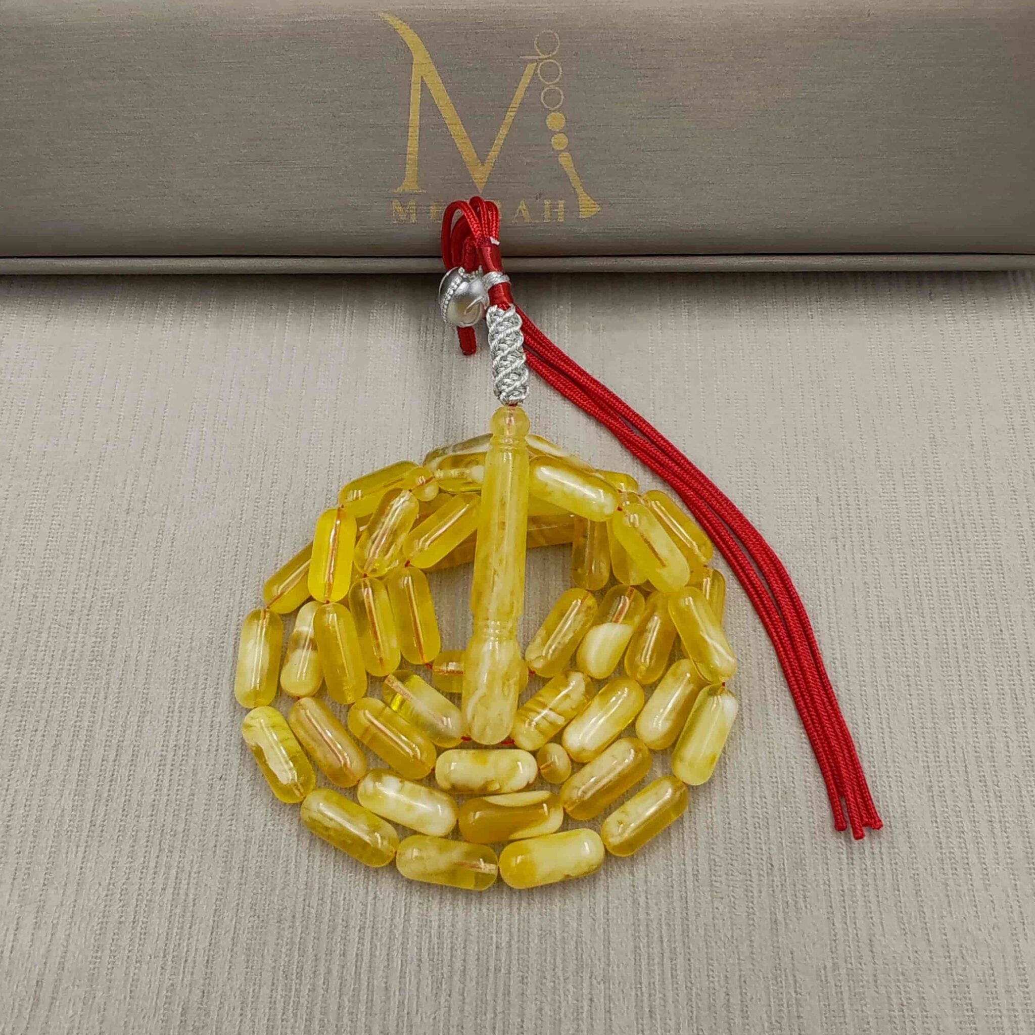 IMG_20251030_194611_edit_19999297172629