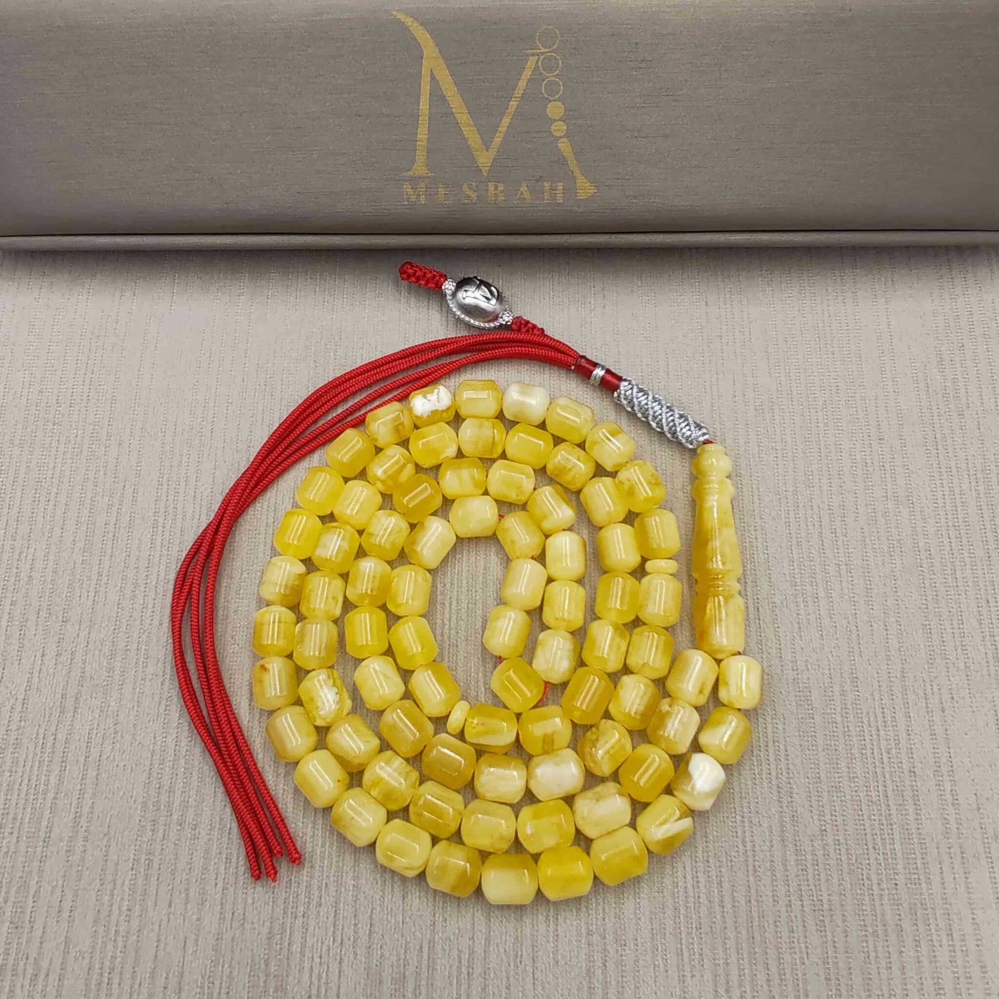 IMG_20251030_204321_edit_22114528509895