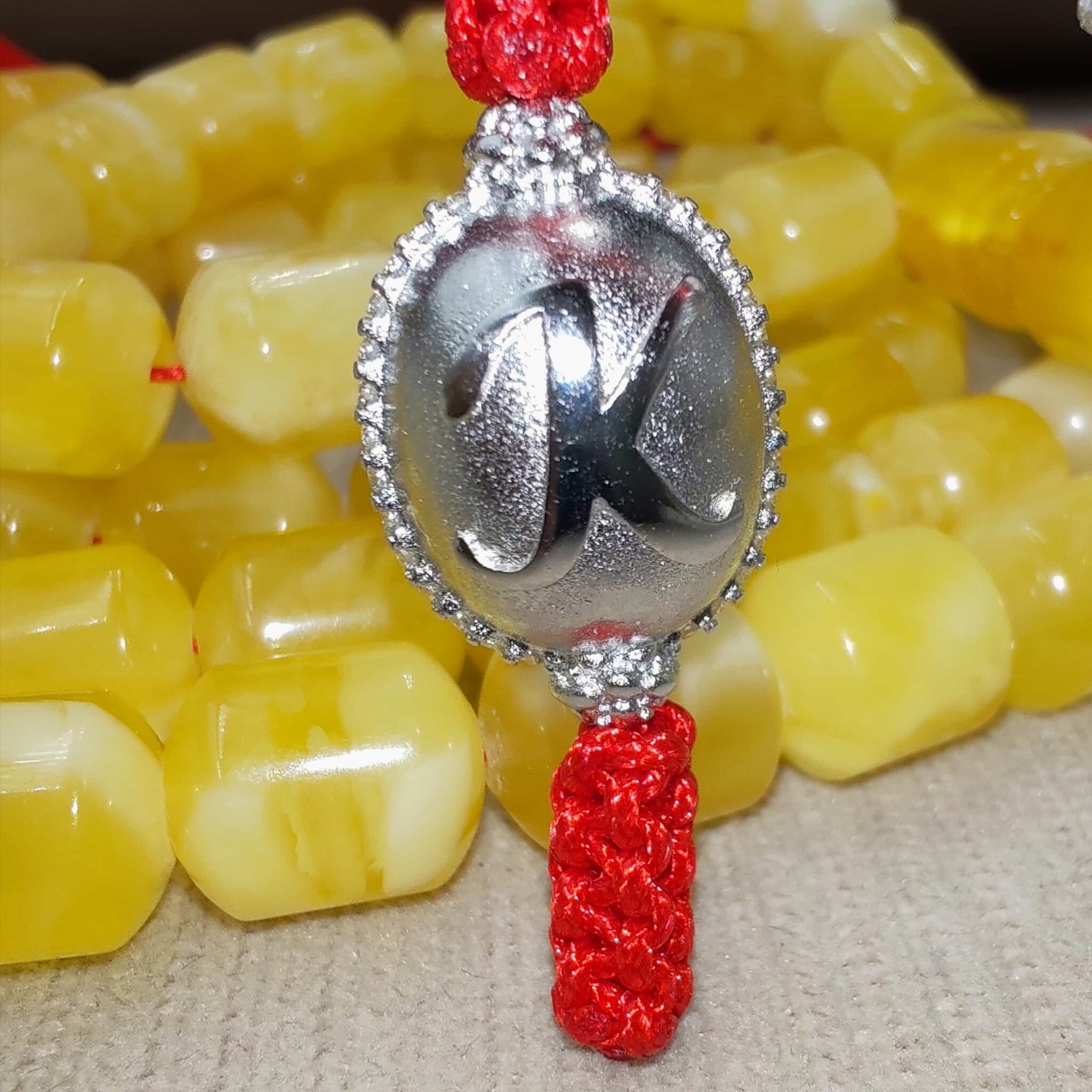 IMG_20251030_204913_edit_22469878317207