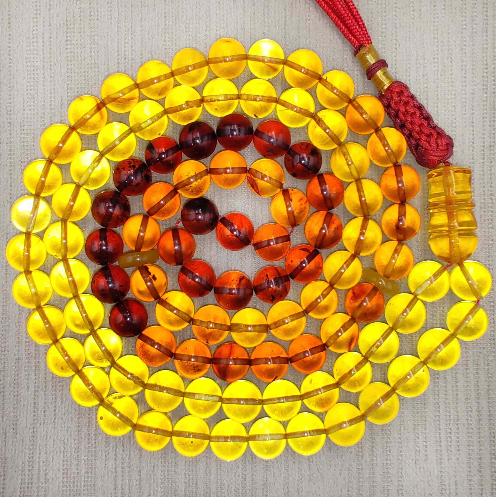 IMG_20251108_135537_edit_88537496572942