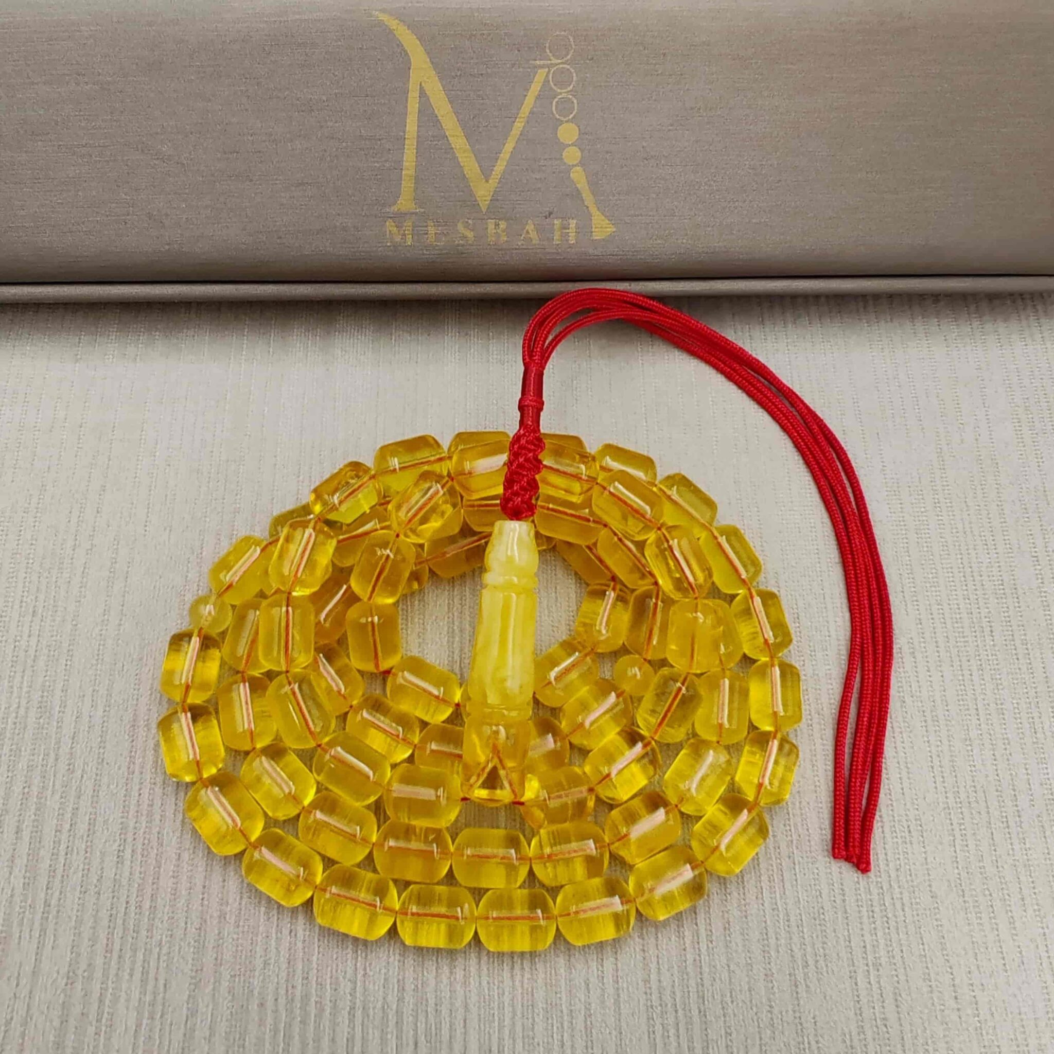 IMG_20251111_170228_edit_13626216954019