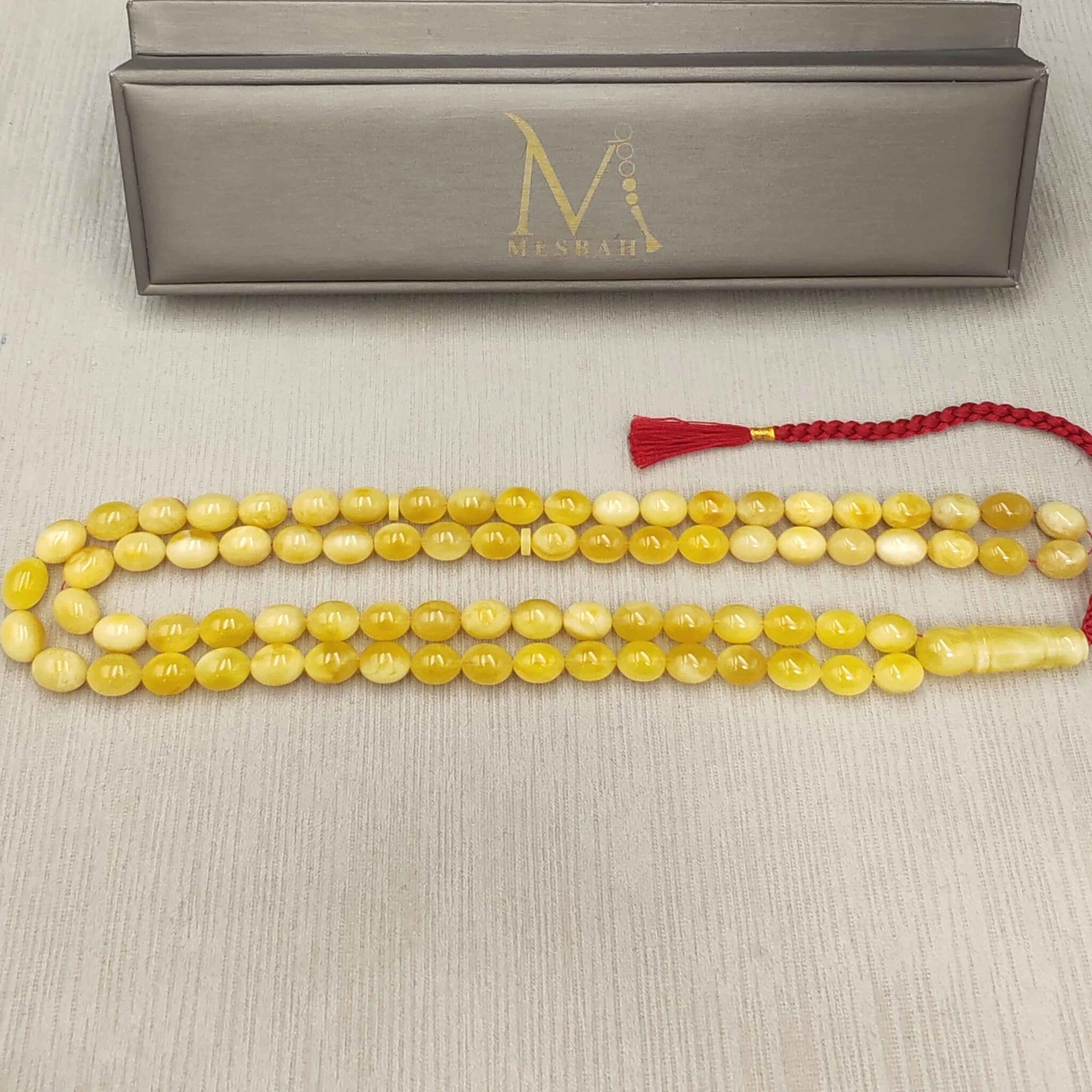 IMG_20251119_135112_edit_26098871771084