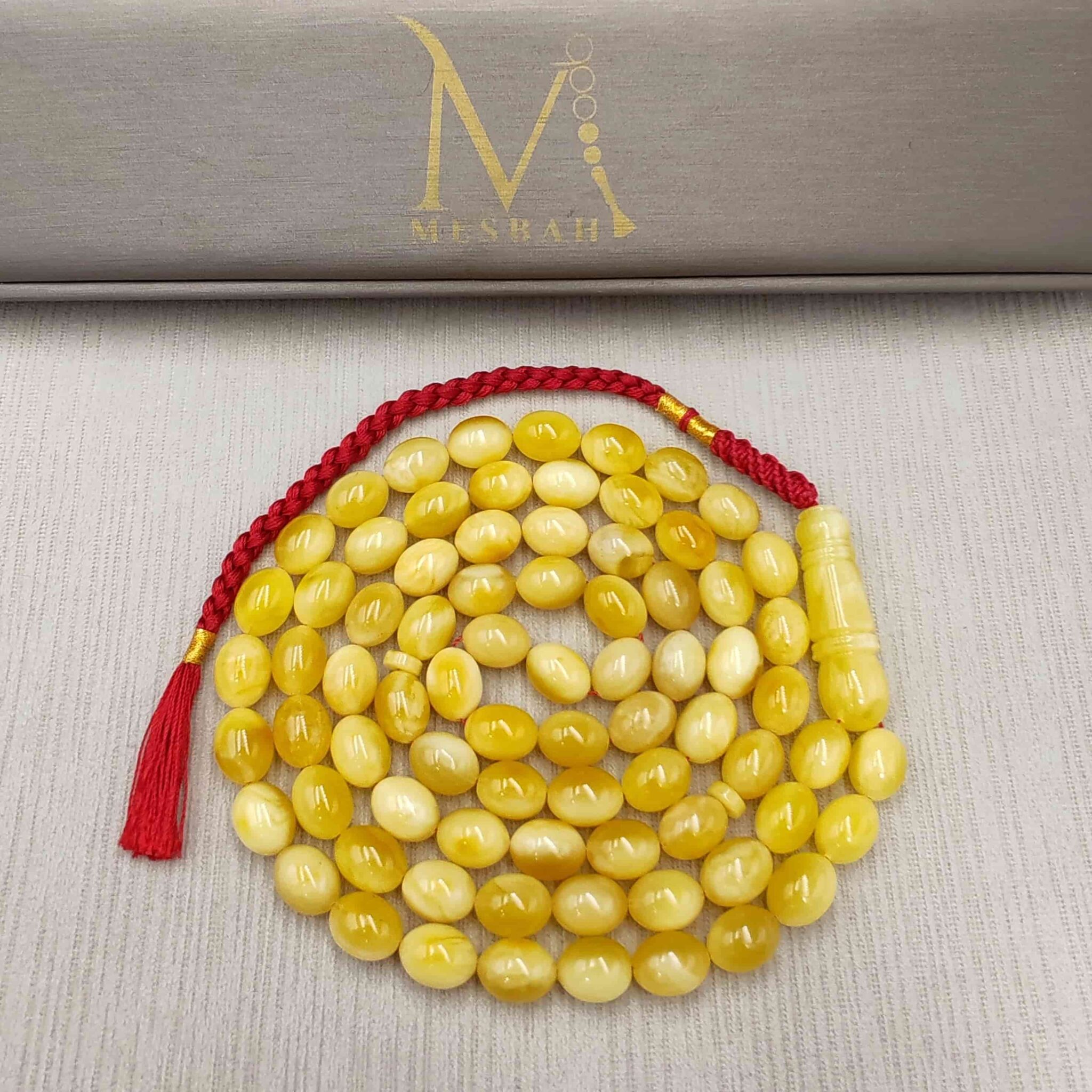 IMG_20251119_135457_edit_26281001390910