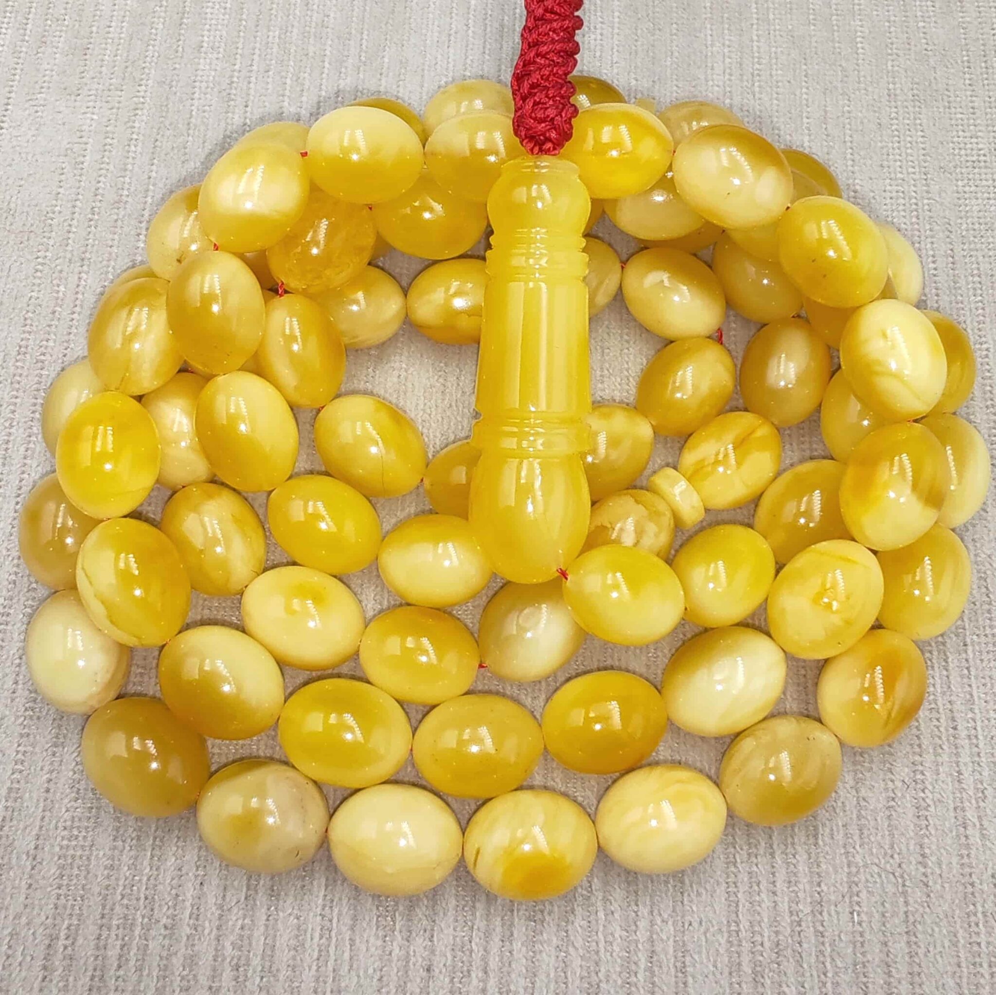 IMG_20251119_140304_edit_26743603899640