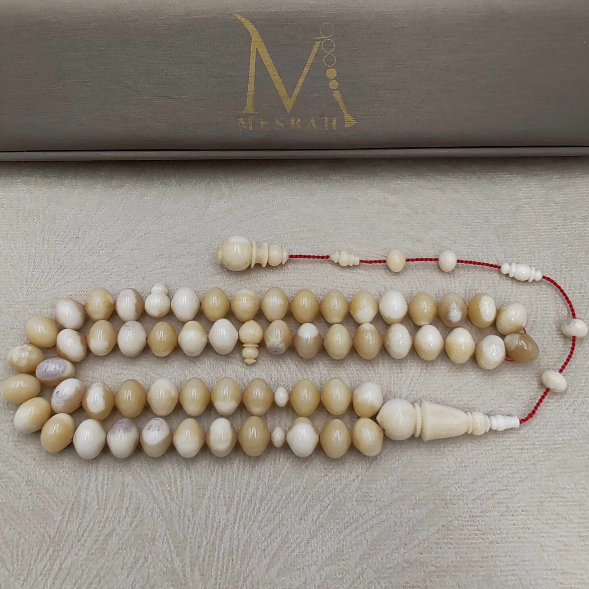 IMG_20251209_174533_edit_9153536408485