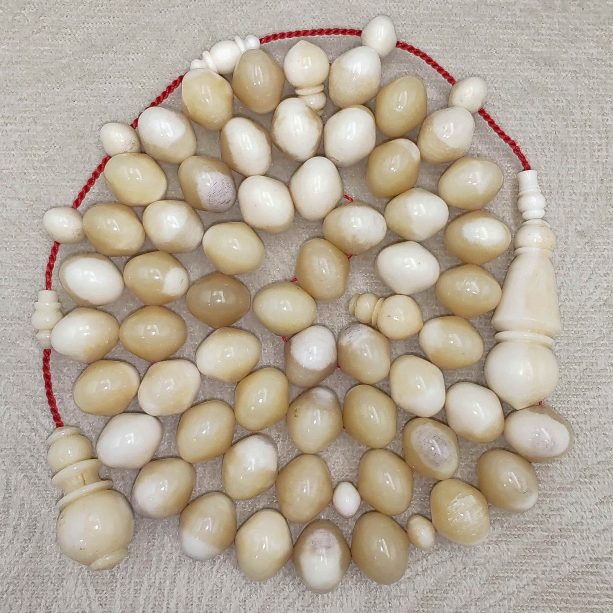 IMG_20251209_174908_edit_9576703305876