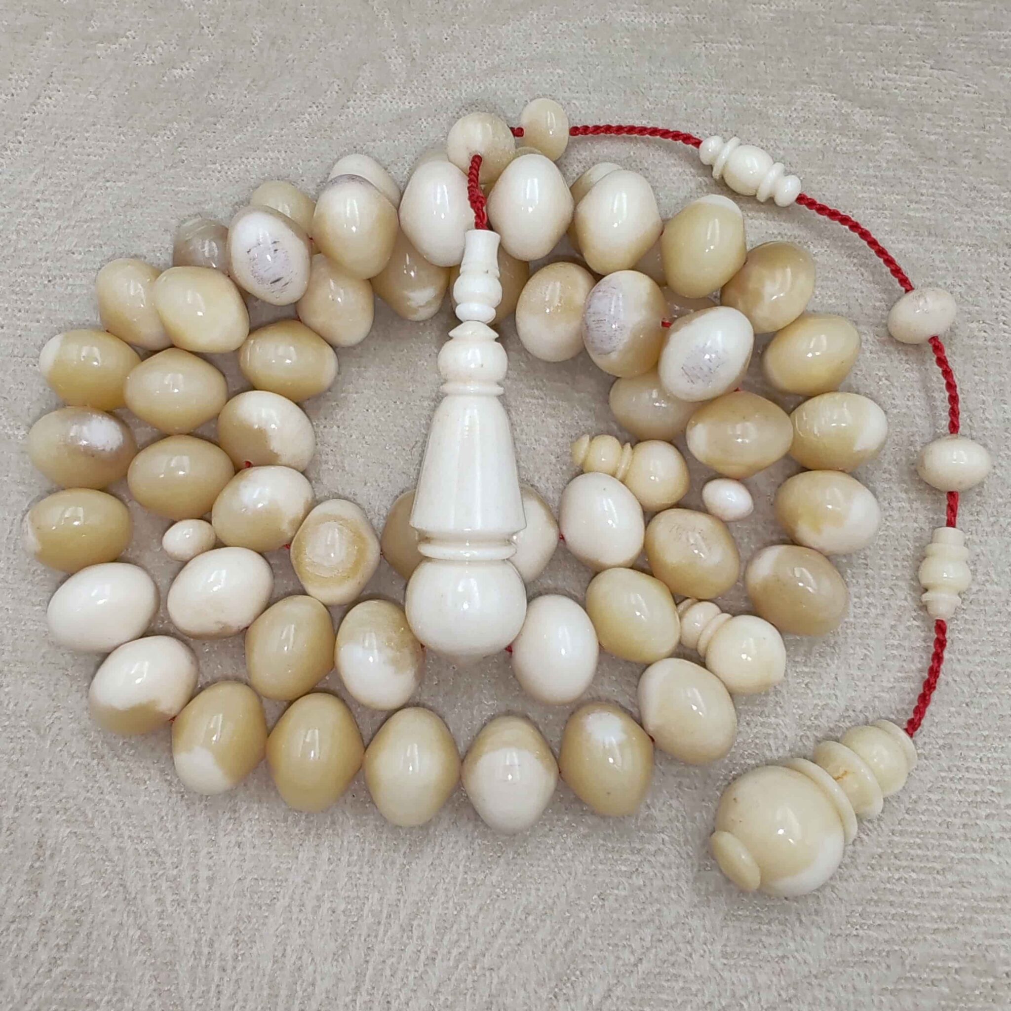 IMG_20251209_175221_edit_9554319767968