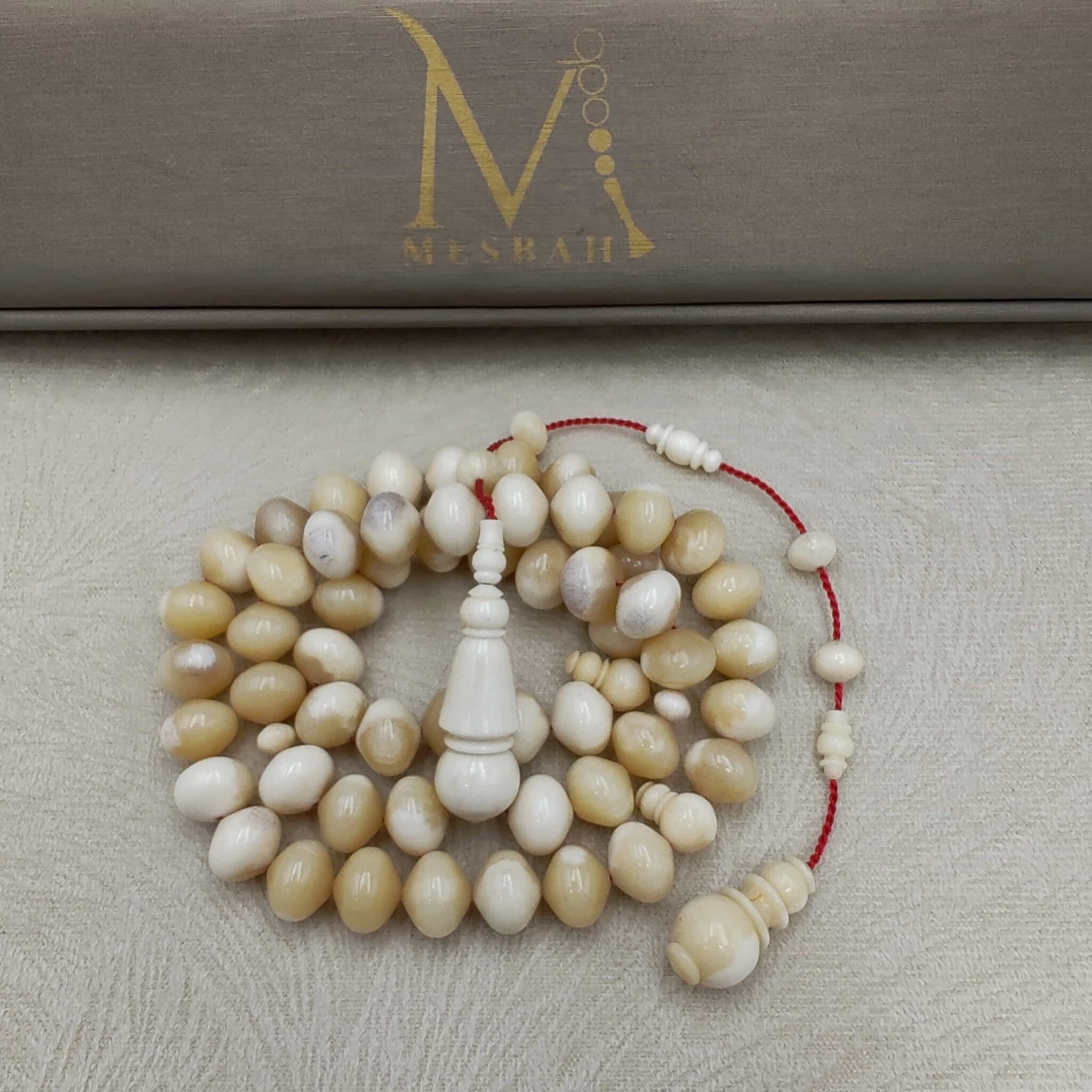 IMG_20251209_175450_edit_9721136912175