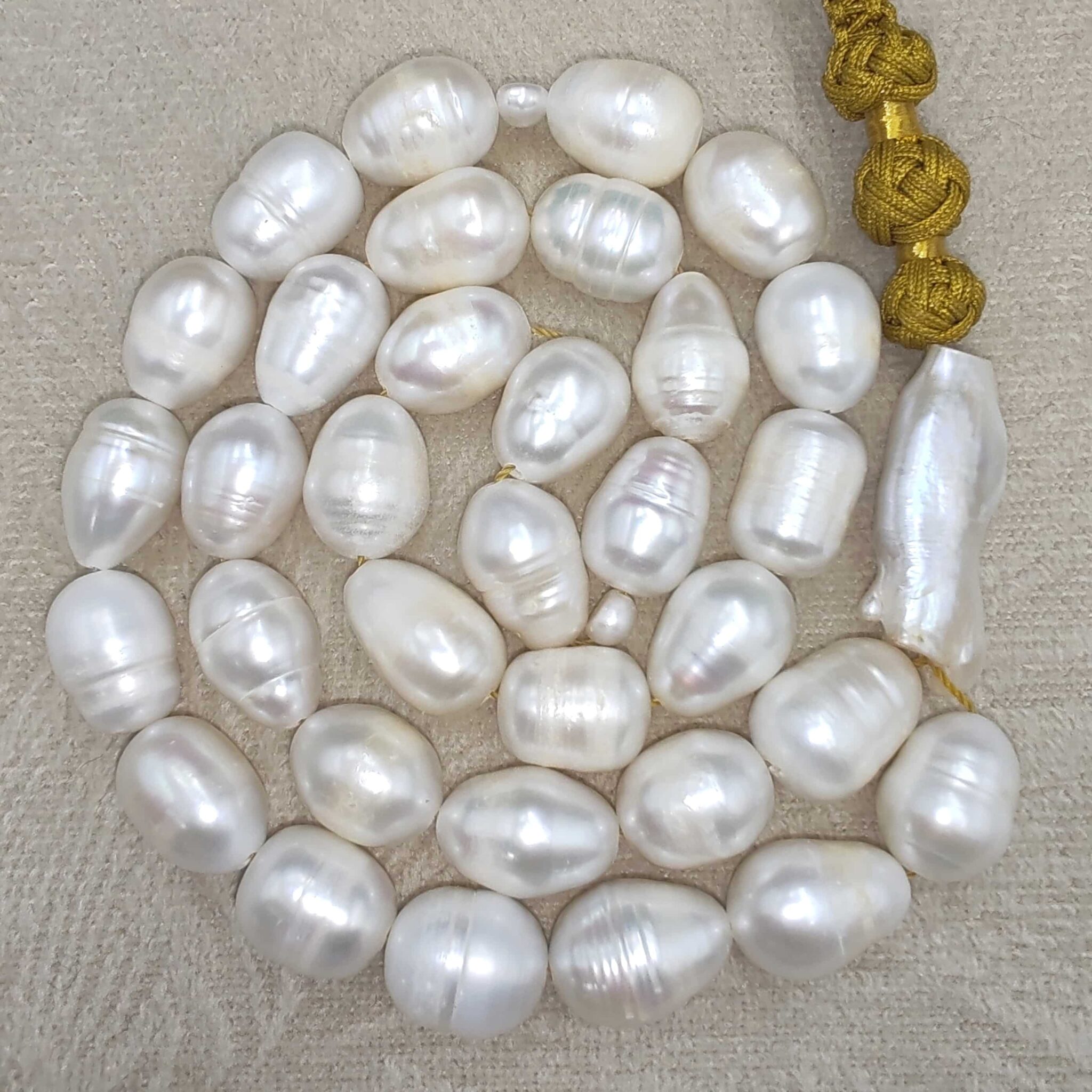 IMG_20251215_144432_edit_96108846934429