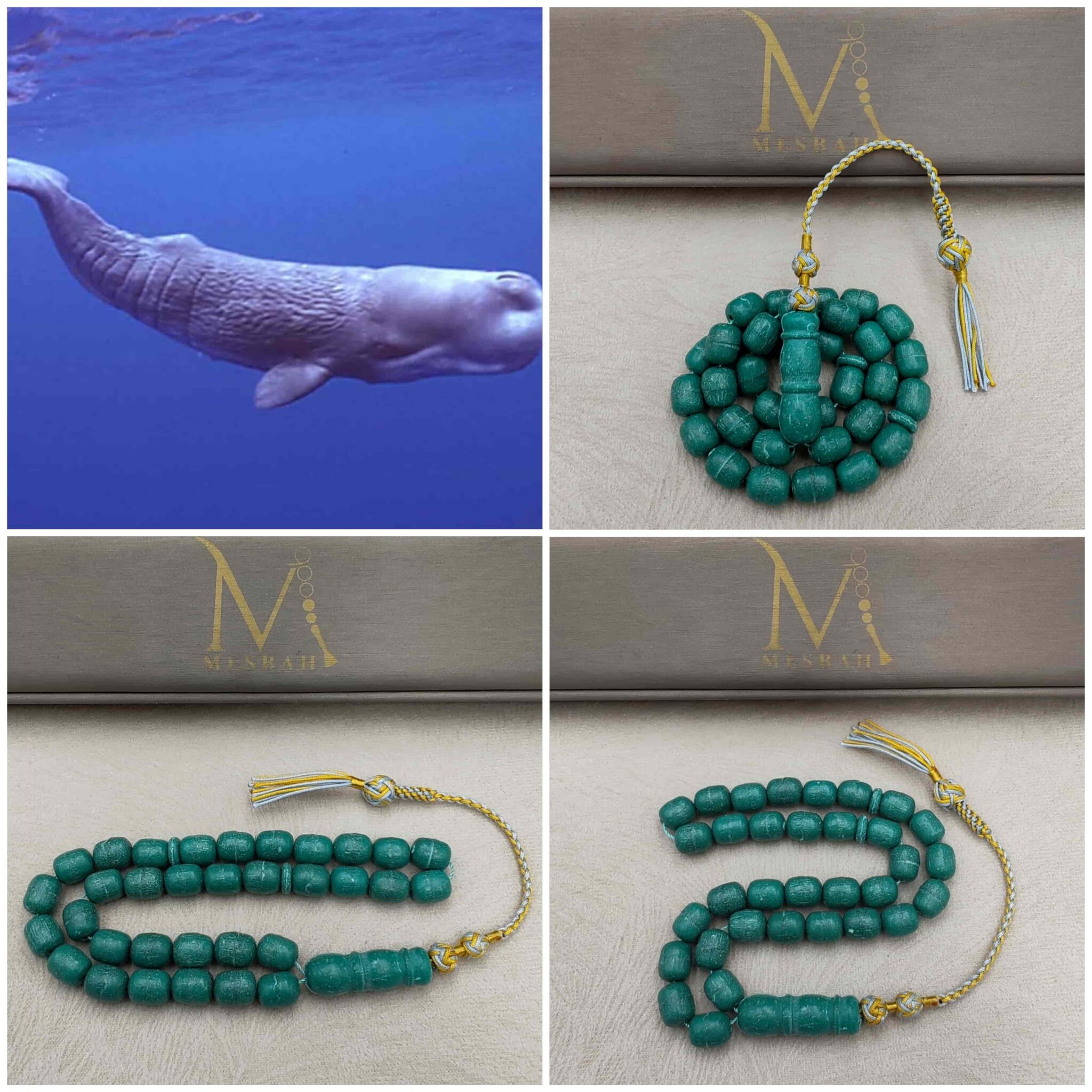 Picsart_26-01-29_16-31-26-885