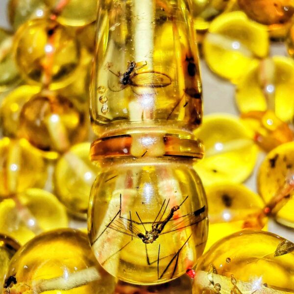 Natural Amber Mesbah Baltic Insect Super Full Of Insects