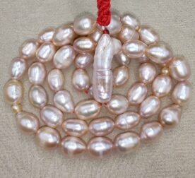 IMG_20260220_171249_edit_153179198731355