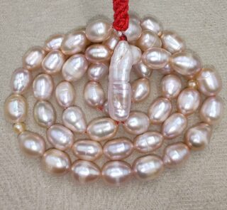 IMG_20260220_171249_edit_153179198731355