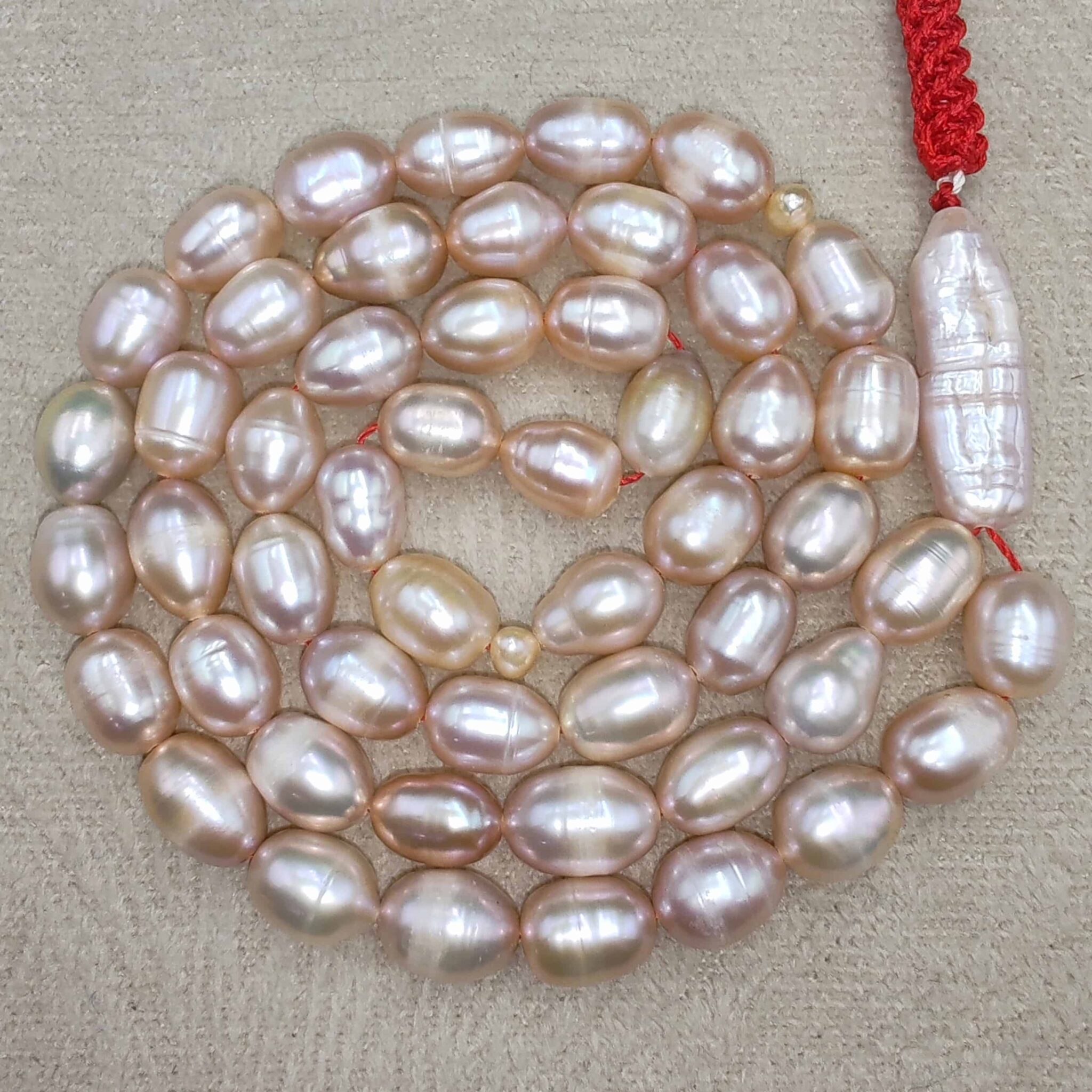 IMG_20260220_171401_edit_153247092882579