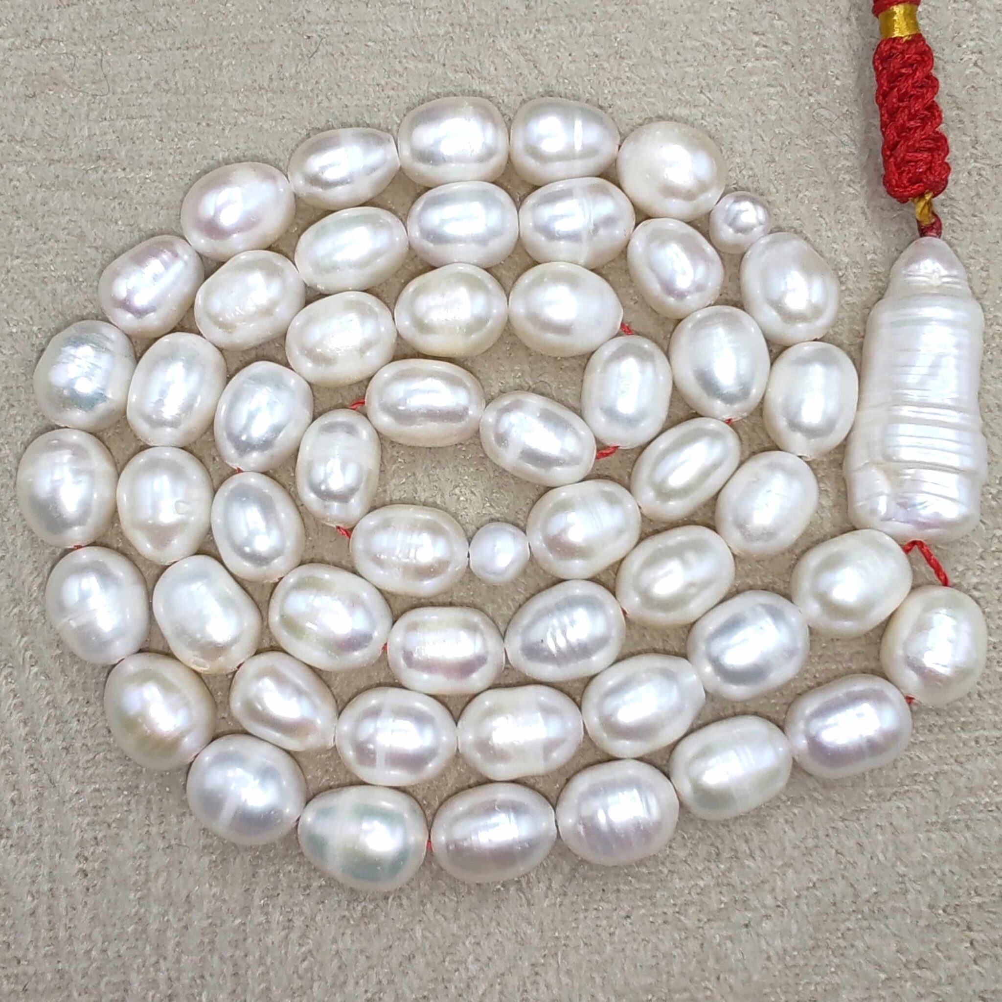 IMG_20260222_154623_edit_4243078876296