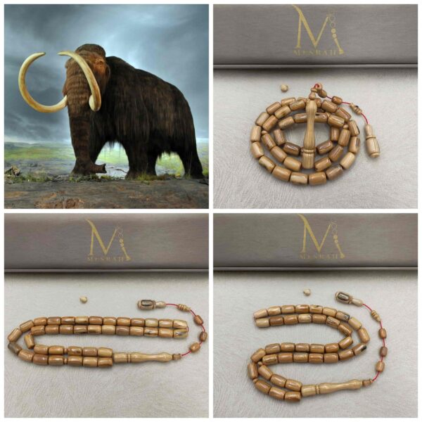 Mesbah Super Mammoth Ivory Extinct With Ras Kabous Spare