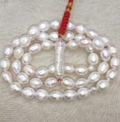 IMG_20260309_172845_edit_88674808353359