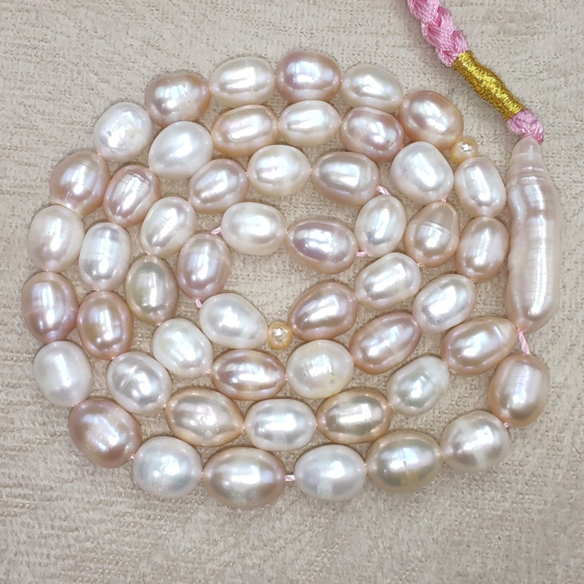 IMG_20260325_192333_edit_37715403520402