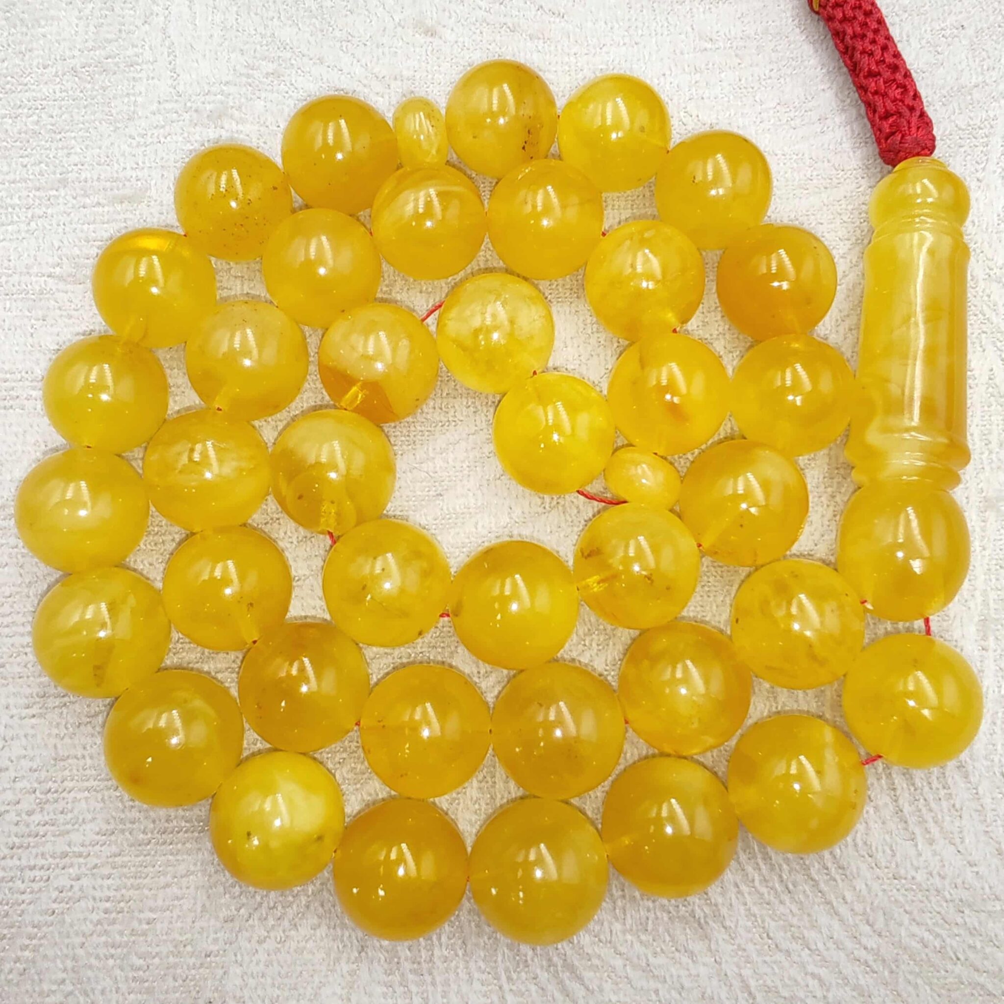 IMG_20260328_150611_edit_24490551435499