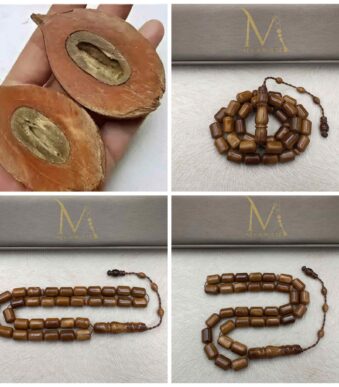 Picsart_26-03-07_20-59-14-583