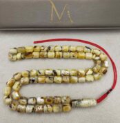 IMG_20260421_134249_edit_204156924293316