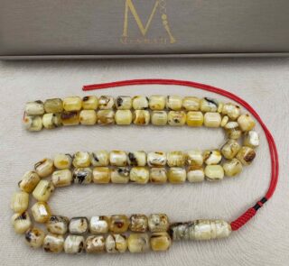 IMG_20260421_134249_edit_204156924293316