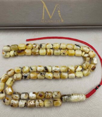 IMG_20260421_134249_edit_204156924293316